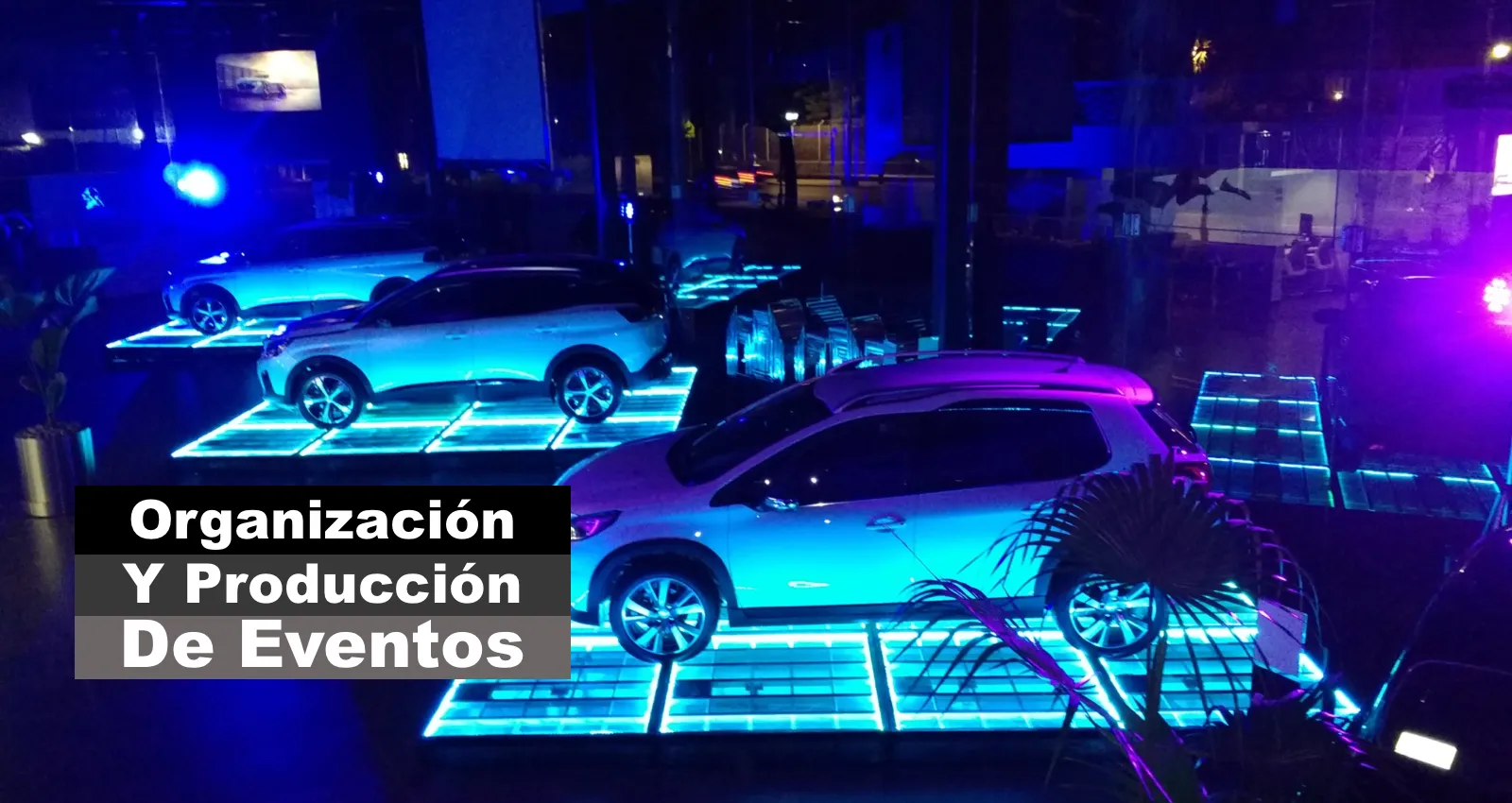 Organización y Producción de Eventos